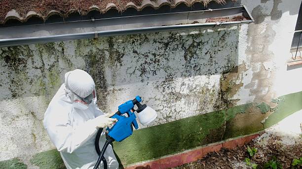 Top rated local Mold Cleanup specialists in Salem, VA
